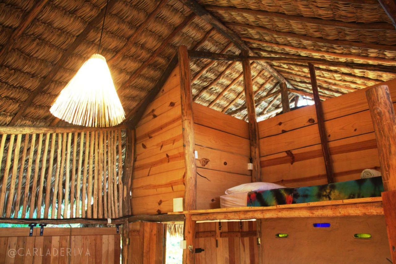 Raízes Eco Hostel Barra Grande  Exterior foto